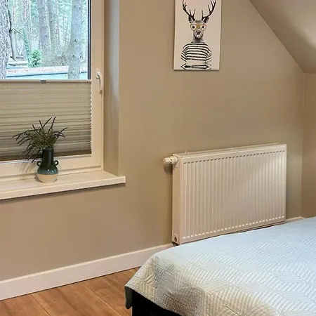 Gorgeous In With Wifi Holiday home Ostroda
